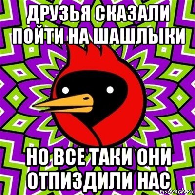 друзья сказали пойти на шашлыки но все таки они отпиздили нас, Мем Омская птица