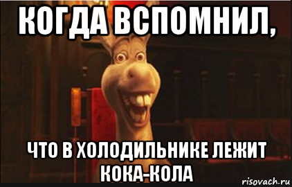 когда вспомнил, что в холодильнике лежит кока-кола, Мем Осел из Шрека