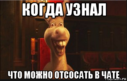 когда узнал что можно отсосать в чате, Мем Осел из Шрека