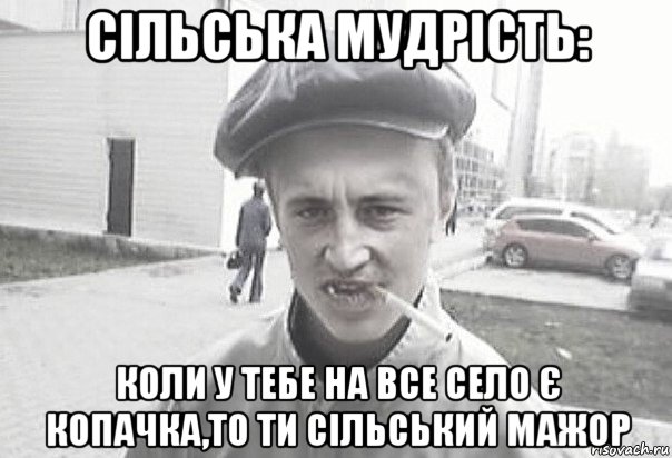 сільська мудрість: коли у тебе на все село є копачка,то ти сільський мажор, Мем Пацанська философия