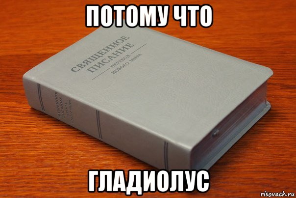 Потому что мем. Потому что Гладиолус. Потому что Гладиолус Мем. Гладиолус прикол. Потому потому что Гладиолус.