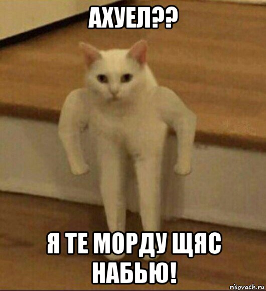 ахуел?? я те морду щяс набью!, Мем  Полукот