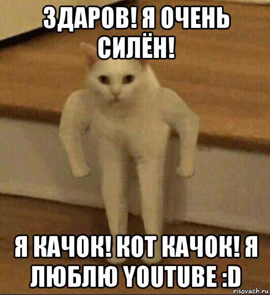 здаров! я очень силён! я качок! кот качок! я люблю youtube :d, Мем  Полукот