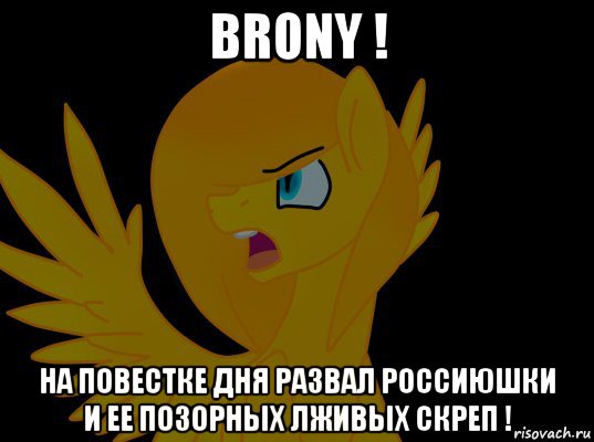 brony ! на повестке дня развал россиюшки и ее позорных лживых скреп !, Мем  Пони1