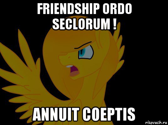 friendship ordo seclorum ! annuit coeptis, Мем  Пони1