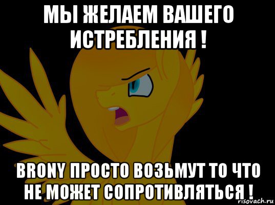 мы желаем вашего истребления ! brony просто возьмут то что не может сопротивляться !, Мем  Пони1