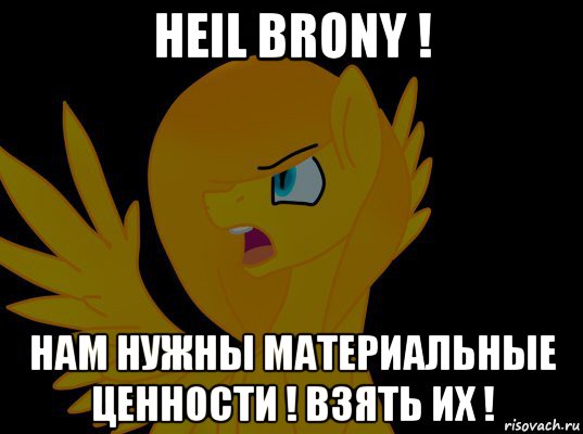 heil brony ! нам нужны материальные ценности ! взять их !, Мем  Пони1