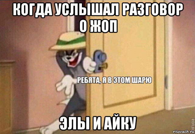 когда услышал разговор о жоп элы и айку, Мем    Ребята я в этом шарю