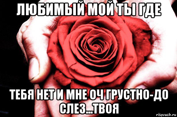 Слезы твои для меня