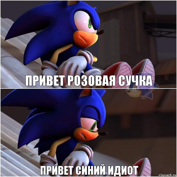 привет розовая сучка привет синий идиот, Комикс Sonic 1