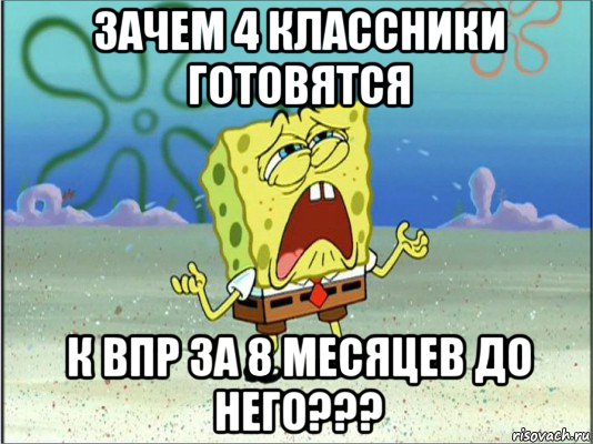 зачем 4 классники готовятся к впр за 8 месяцев до него???, Мем Спанч Боб плачет