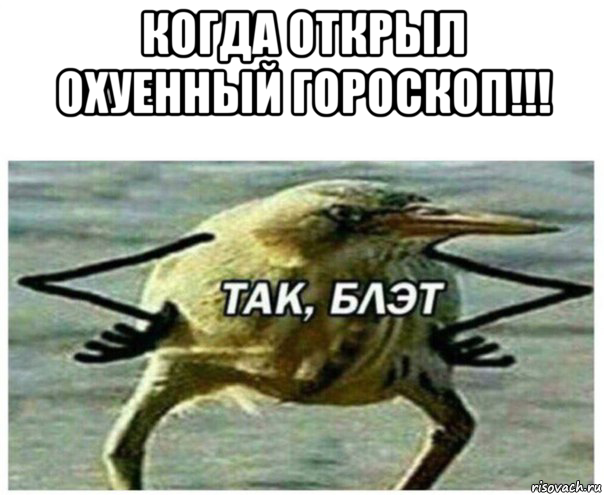 когда открыл охуенный гороскоп!!! 