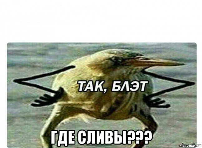  где сливы???, Мем Так Блэт