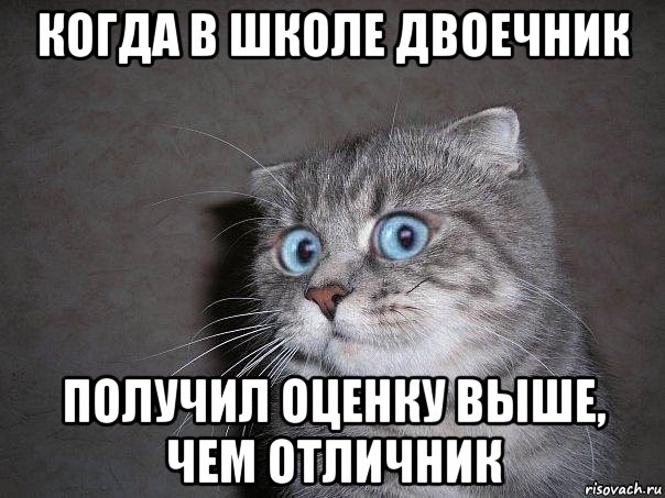 когда в школе двоечник получил оценку выше, чем отличник, Мем  удивлённый кот