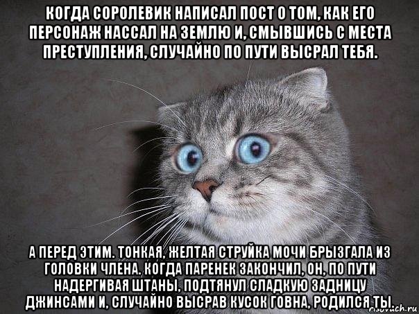 когда соролевик написал пост о том, как его персонаж нассал на землю и, смывшись с места преступления, случайно по пути высрал тебя. а перед этим. тонкая, желтая струйка мочи брызгала из головки члена. когда паренек закончил, он, по пути надергивая штаны, подтянул сладкую задницу джинсами и, случайно высрав кусок говна, родился ты., Мем  удивлённый кот