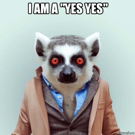 i am a "yes yes" , Мем укуренный лемур
