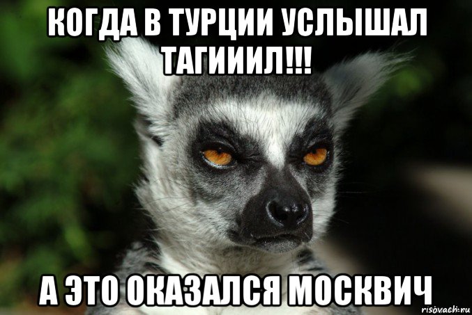 когда в турции услышал тагииил!!! а это оказался москвич, Мем   Я збагоен