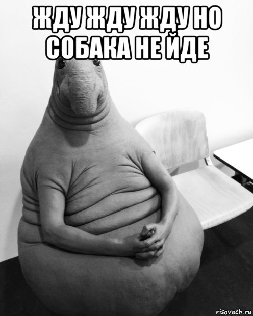 жду жду жду но собака не йде , Мем  Ждун