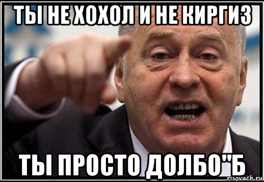 ты не хохол и не киргиз ты просто долбо"б, Мем жириновский ты