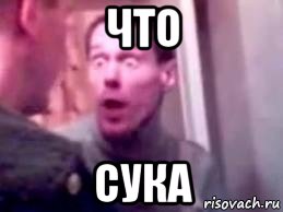 что сука, Мем   буйный славик