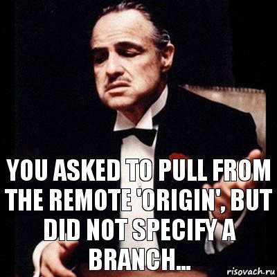 You asked to pull from the remote 'origin', but did not specify a branch...