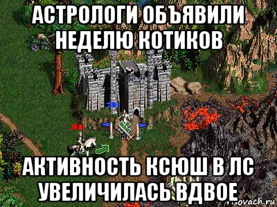 астрологи объявили неделю котиков активность ксюш в лс увеличилась вдвое