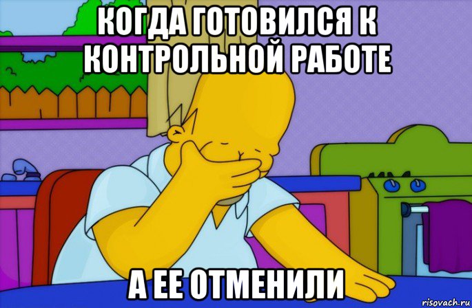 когда готовился к контрольной работе а ее отменили, Мем Homer simpson facepalm