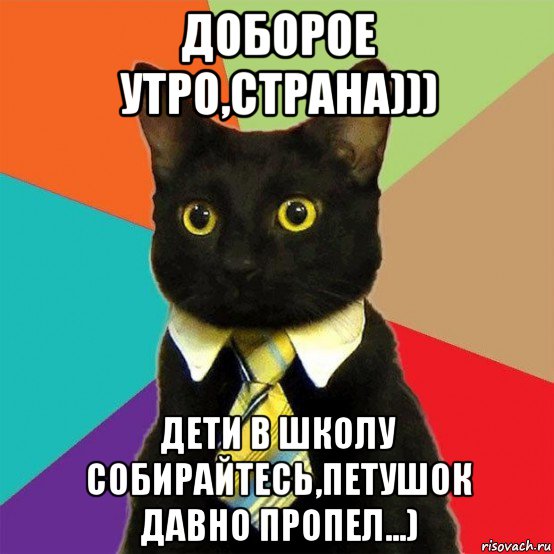 доборое утро,страна))) дети в школу собирайтесь,петушок давно пропел...), Мем  Кошечка