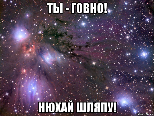 ты - говно! нюхай шляпу!, Мем Космос