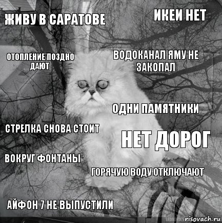 Живу в Саратове Нет дорог водоканал яму не закопал Айфон 7 не выпустили Стрелка снова стоит ИКЕИ НЕТ горячую воду отключают отопление поздно дают вокруг фонтаны одни памятники, Комикс  кот безысходность