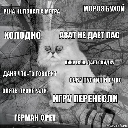 Рена не попал с метра Сева пустил в очко Азат не дает пас Герман орет Даня что-то говорит Мороз бухой Игру перенесли холодно опять проиграли Никита не дает скидку, Комикс  кот безысходность