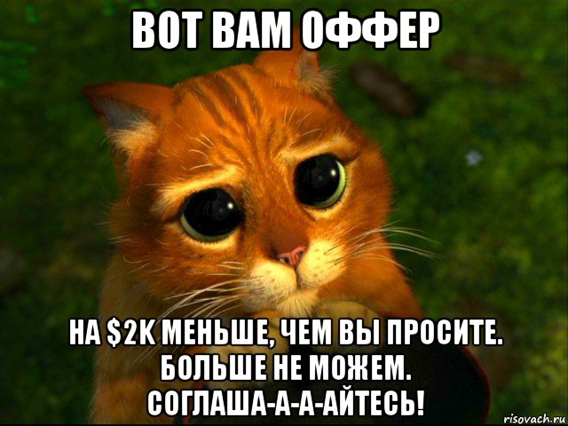 вот вам оффер на $2k меньше, чем вы просите. больше не можем. соглаша-а-а-айтесь!, Мем кот из шрека