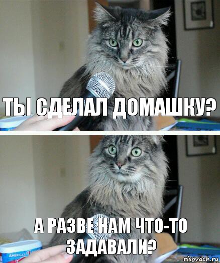 ты сделал домашку? а разве нам что-то задавали?, Комикс  кот с микрофоном