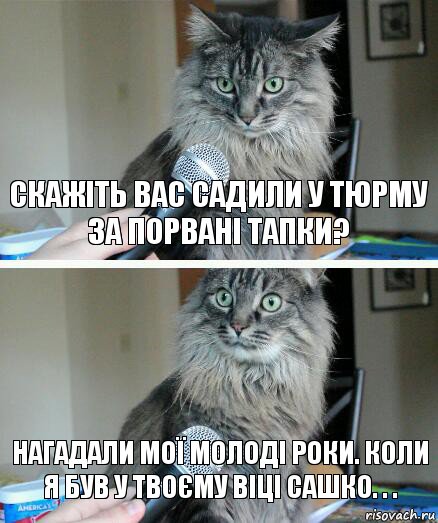 скажіть вас садили у тюрму за порвані тапки? нагадали мої молоді роки. коли я був у твоєму віці сашко. . ., Комикс  кот с микрофоном