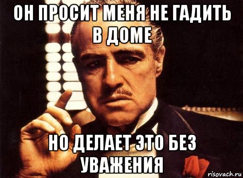 он просит меня не гадить в доме но делает это без уважения, Мем крестный отец