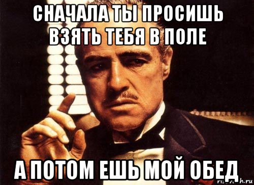 сначала ты просишь взять тебя в поле а потом ешь мой обед, Мем крестный отец