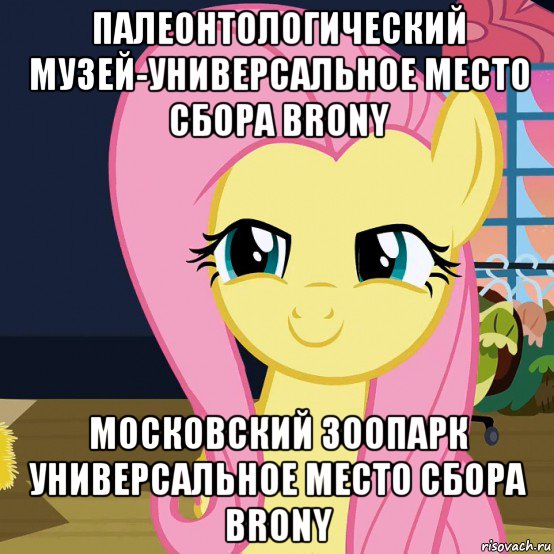 палеонтологический музей-универсальное место сбора brony московский зоопарк универсальное место сбора brony, Мем  Mem Fluttershy