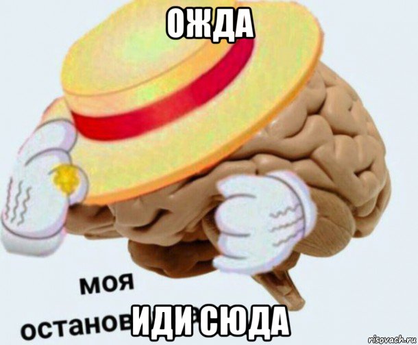 ожда иди сюда, Мем   Моя остановочка мозг