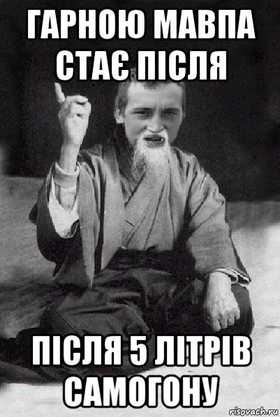 гарною мавпа стає після після 5 літрів самогону, Мем Мудрий паца