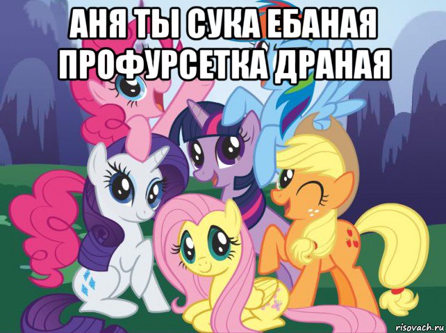 аня ты сука ебаная профурсетка драная , Мем My little pony