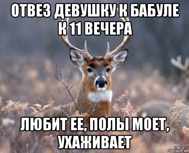 отвез девушку к бабуле к 11 вечера любит ее, полы моет, ухаживает, Мем   Наивный олень