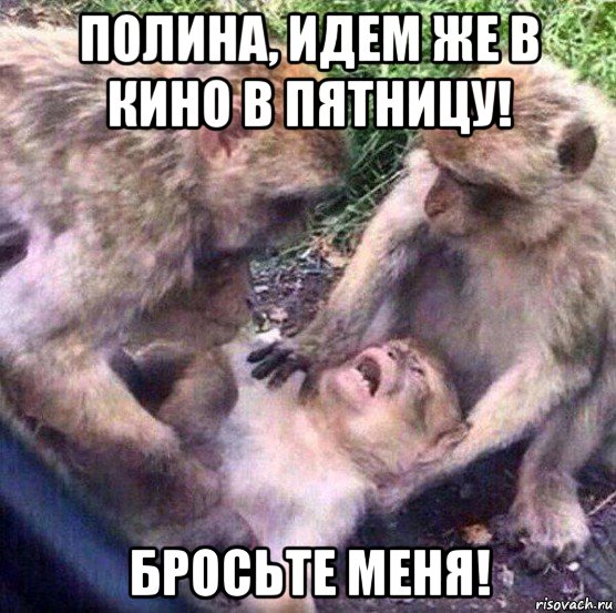 полина, идем же в кино в пятницу! бросьте меня!, Мем Обезьяны