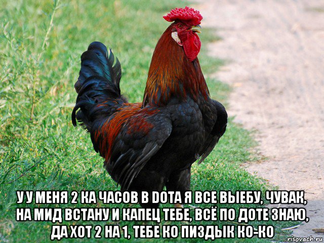  у у меня 2 ка часов в dota я все выебу, чувак, на мид встану и капец тебе, всё по доте знаю, да хот 2 на 1, тебе ко пиздык ко-ко, Мем петух