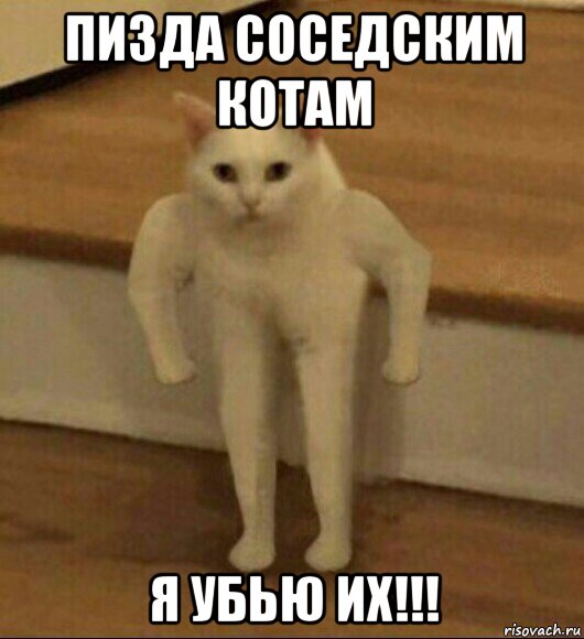 пизда соседским котам я убью их!!!, Мем  Полукот