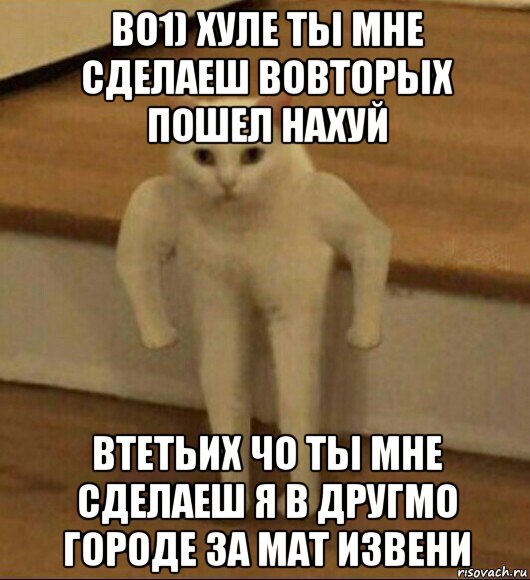 во1) хуле ты мне сделаеш вовторых пошел нахуй втетьих чо ты мне сделаеш я в другмо городе за мат извени, Мем  Полукот