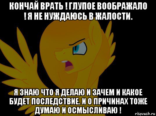 кончай врать ! глупое воображало ! я не нуждаюсь в жалости. я знаю что я делаю и зачем и какое будет последствие. и о причинах тоже думаю и осмысливаю !, Мем  Пони1