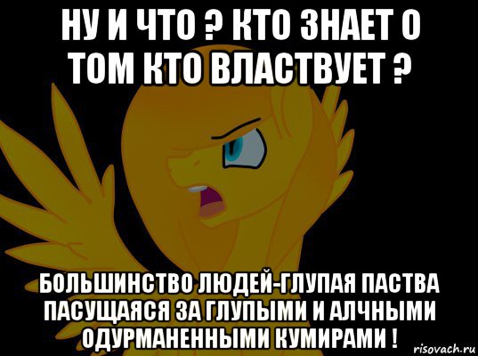 ну и что ? кто знает о том кто властвует ? большинство людей-глупая паства пасущаяся за глупыми и алчными одурманенными кумирами !, Мем  Пони1