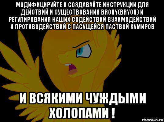 модифицируйте и создавайте инструкции для действий и существования brony(bryon) и регулирования наших содействий взаимодействий и противодействий с пасущейся паствой кумиров и всякими чуждыми холопами !, Мем  Пони1