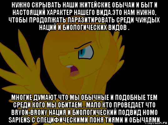 нужно скрывать наши житейские обычаи и быт и настоящий характер нашего вида.это нам нужно, чтобы продолжать паразитировать среди чуждых наций и биологических видов . многие думают что мы обычные и подобные тем среди кого мы обитаем . мало кто проведает что bryon-brony нация и биологический подвид homo sapiens c специфическими поня тиями и обычаями