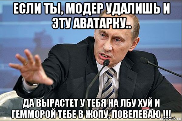 если ты, модер удалишь и эту аватарку.. да вырастет у тебя на лбу хуй и гемморой тебе в жопу, повелеваю !!!